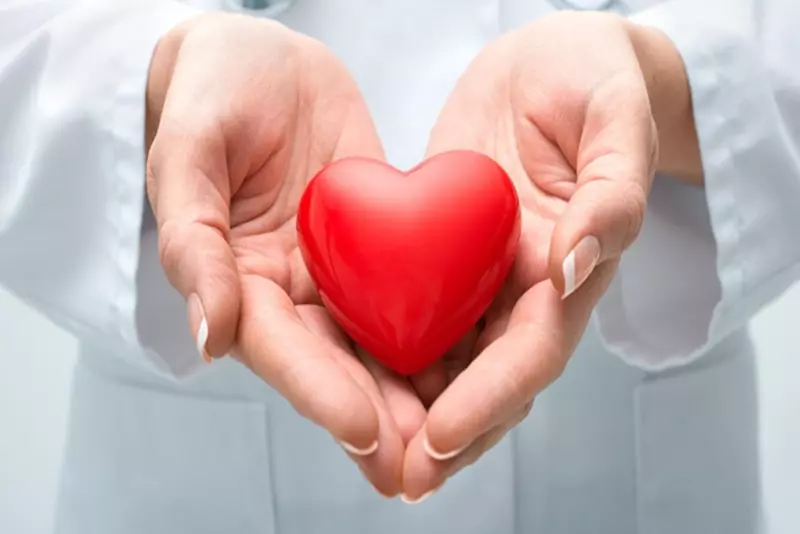 Tinh dầu quế tác dụng tích cực với quá trình chuyển hóa lipid của cơ thể