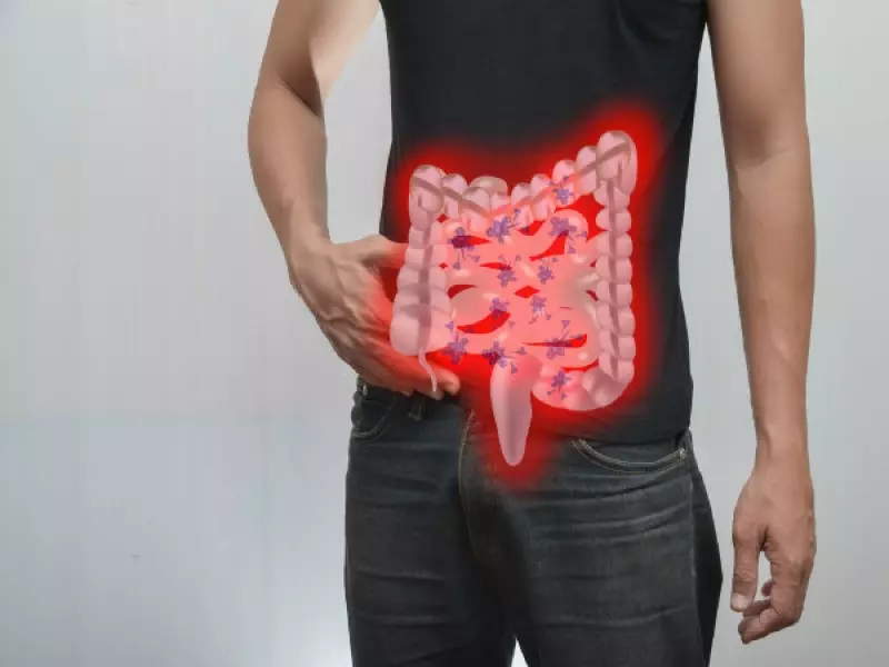 Hỗ trợ hoạt động của hệ tiêu hóa