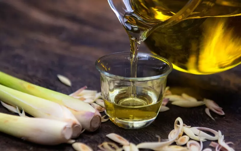 Cách làm tinh dầu sả chanh tại nhà
