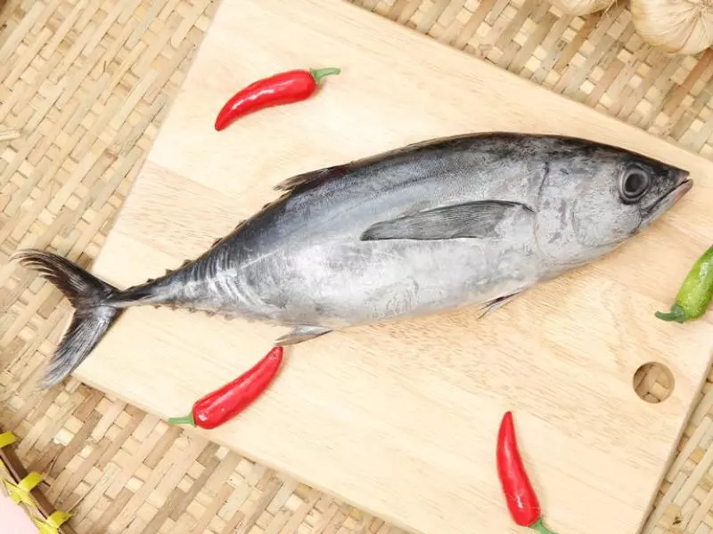 Vitamin B12 có trong thực phẩm nào?