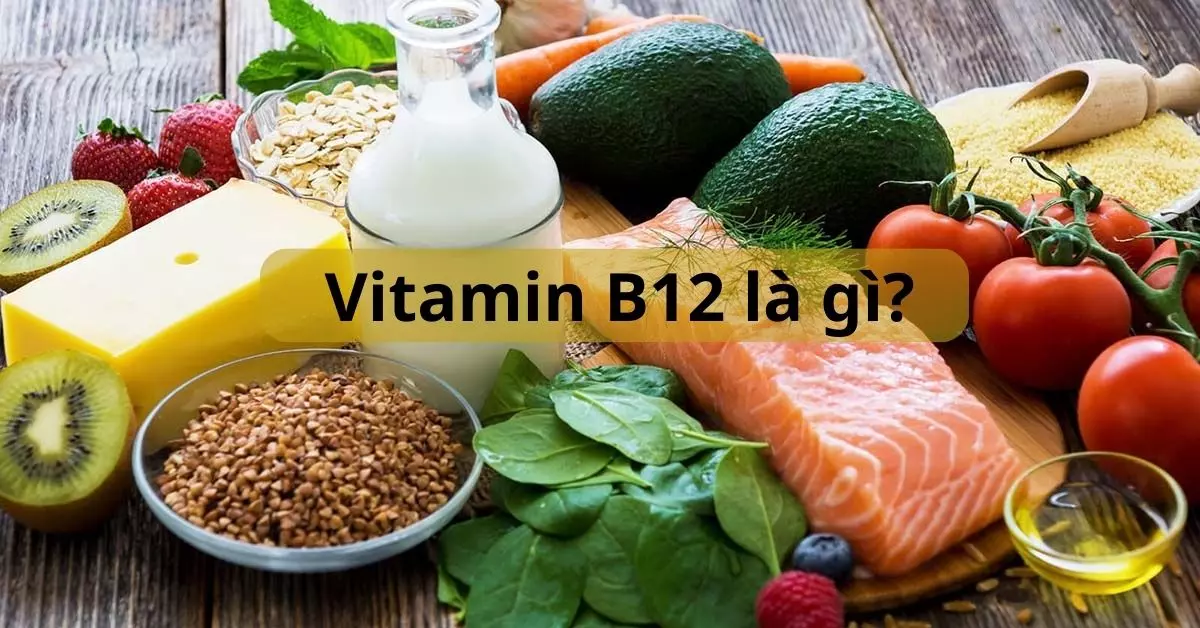 vitamin B12 là gì