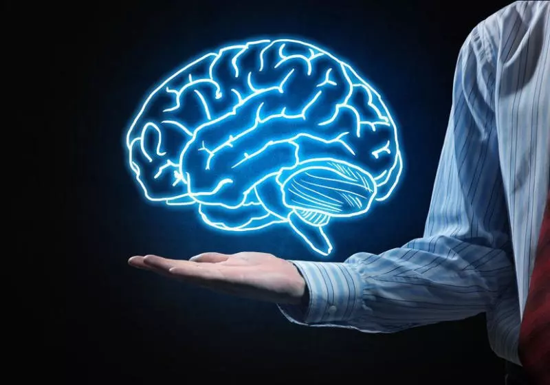 Giúp tăng cường chức năng não