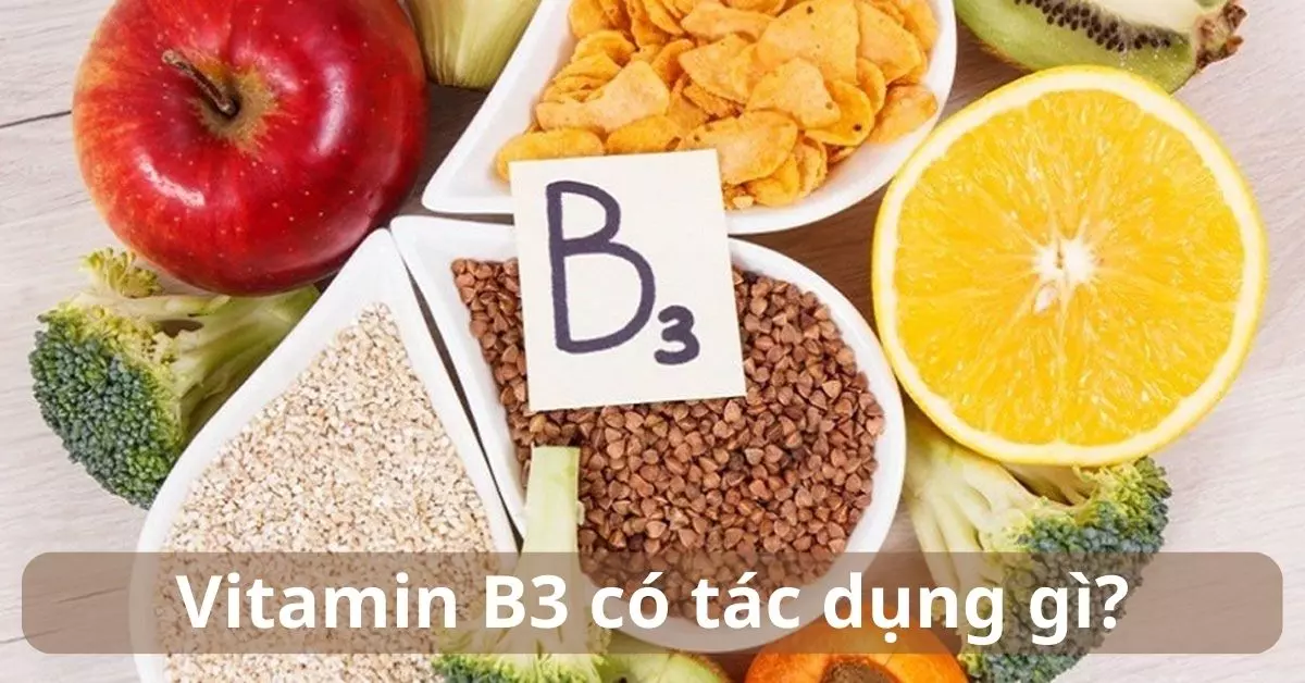 vitamin b3 có tác dụng gì