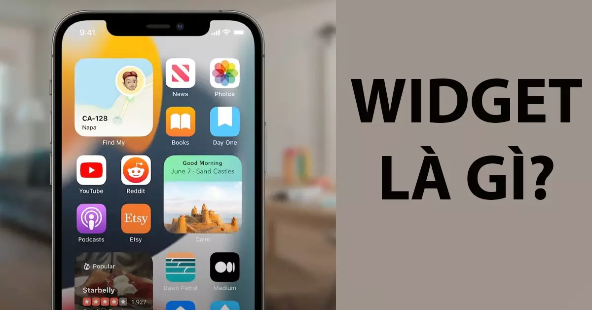 widget-la-gi