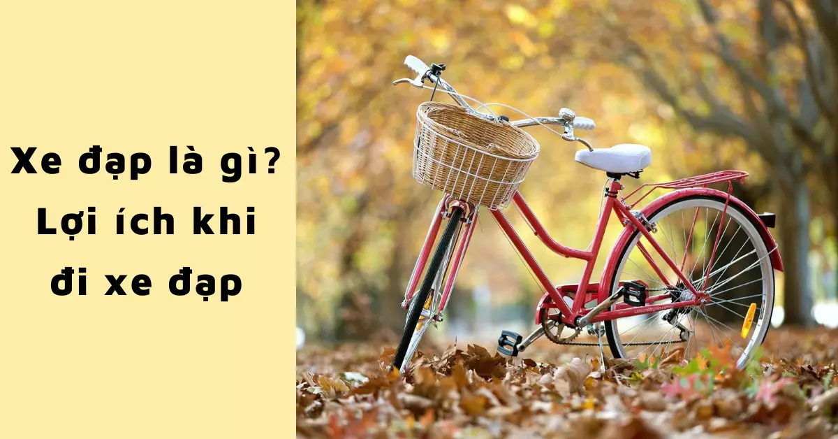 xe đạp là gì