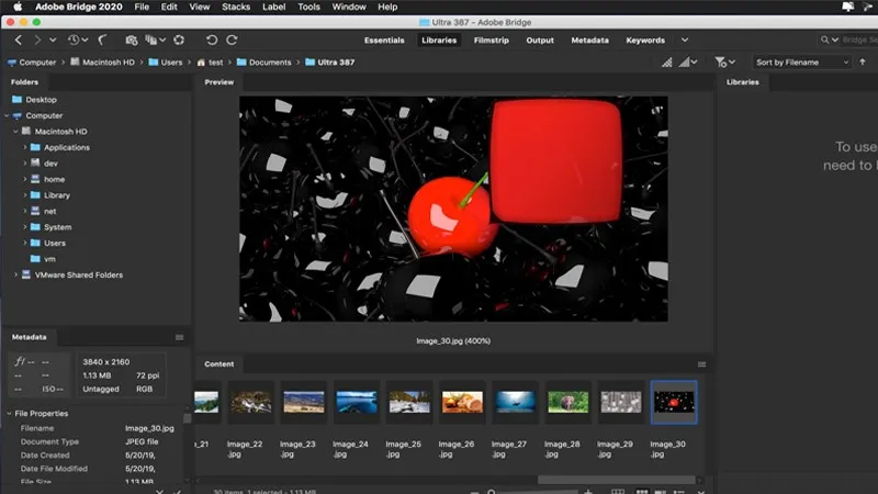 File Browser