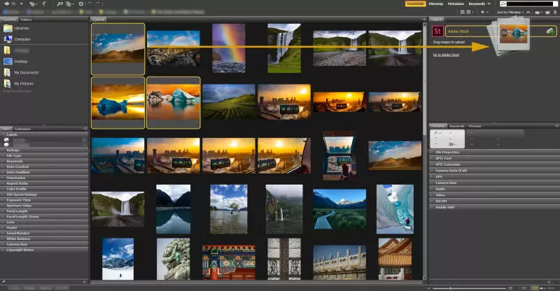 Image Previews