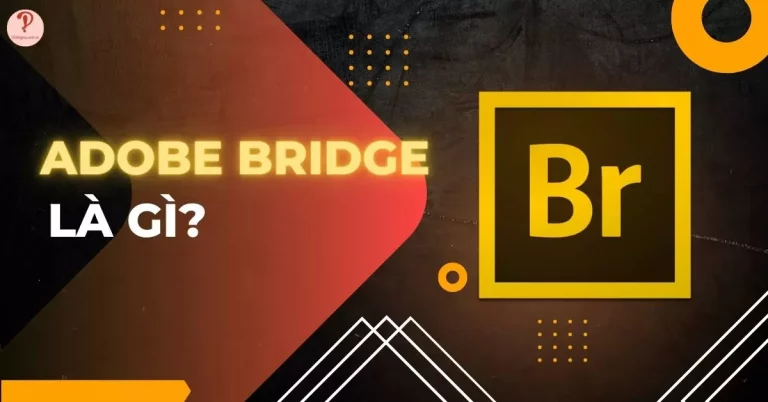 adobe bridge là gì