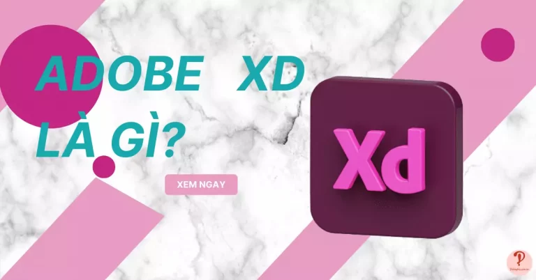 adobe xd là gì