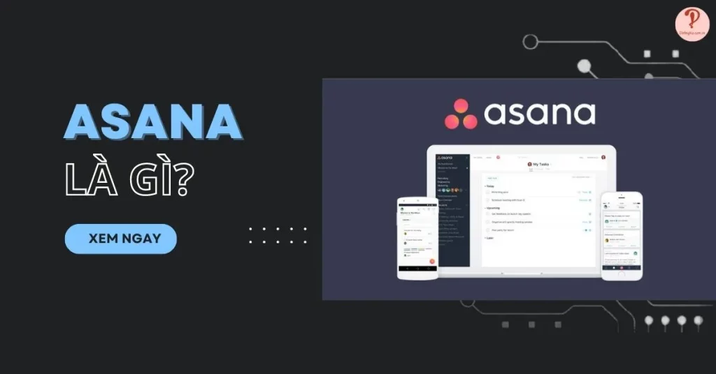 asana là gì