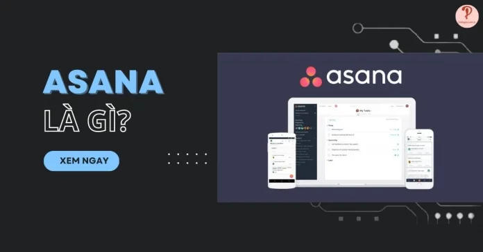 asana là gì
