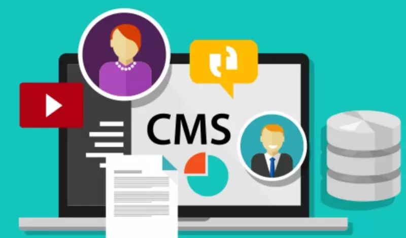 CMS có 3 loại phổ biến