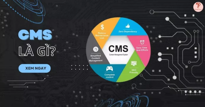 cms-la-gi