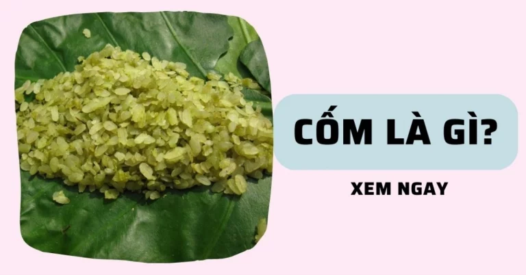 Cốm là gì? Cách chọn mua và bảo quản cốm tươi ngon đúng chuẩn