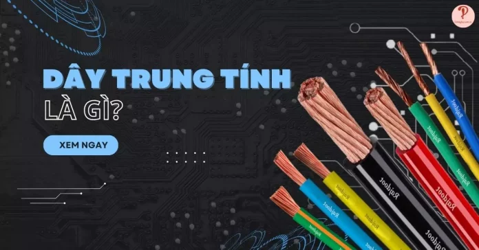 dây trung tính là gì