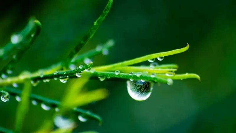 Không khí có độ ẩm vì chứa đến 78% nitơ, 21% oxi và 1% là hơi nước