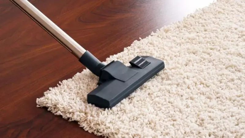 Luôn giữ cho thảm của bạn sạch sẽ và khô ráo để ngăn ngừa nấm mốc phát triển, đặc biệt là những ngày mưa