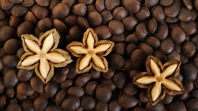 Định nghĩa hạt Sacha inchi