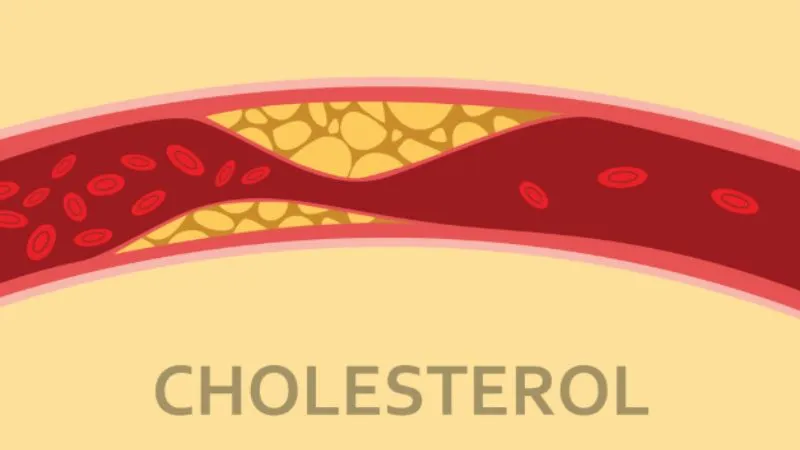 Hạt Sacha Inchi giúp điều hòa cholesterol