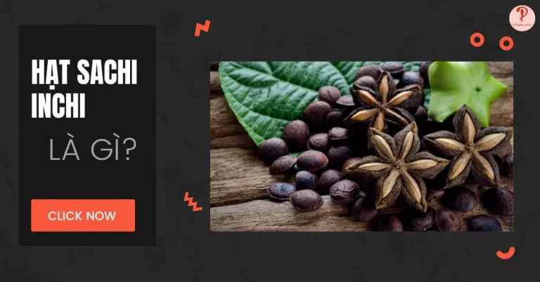 hat-sacha-inchi-la-gi