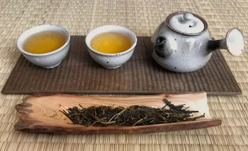 Có thể tìm mua trà Hojicha trực tiếp hoặc online ở các cửa hàng uy tín