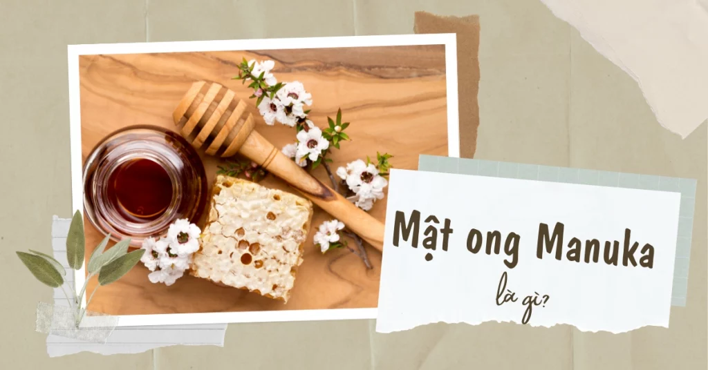 Mật ong Manuka là gì? 7 tác dụng hữu ích của mật ong Manuka