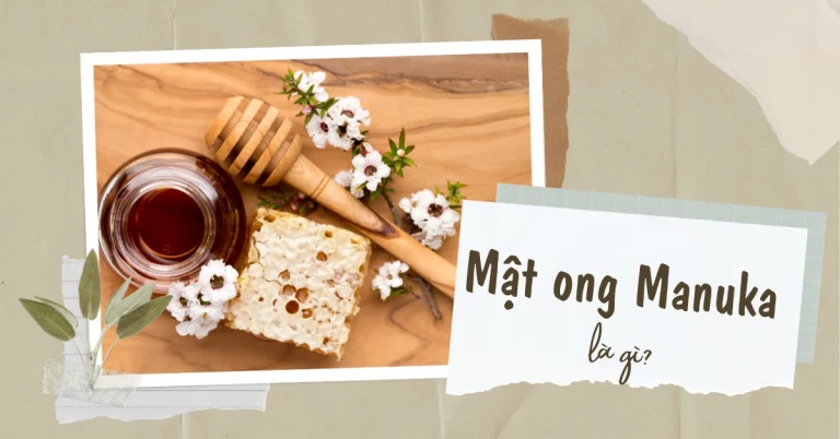 Mật ong Manuka là gì? 7 tác dụng hữu ích của mật ong Manuka