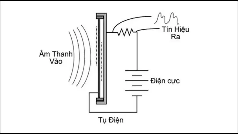 Nguyên lý hoạt động Micro Condenser