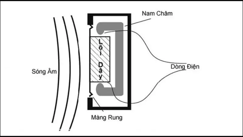 Nguyên lý hoạt động Micro Dynamic