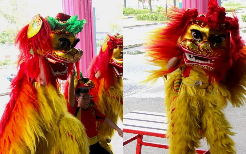 Thiết kế của lân sư miền Bắc ở Trung Quốc