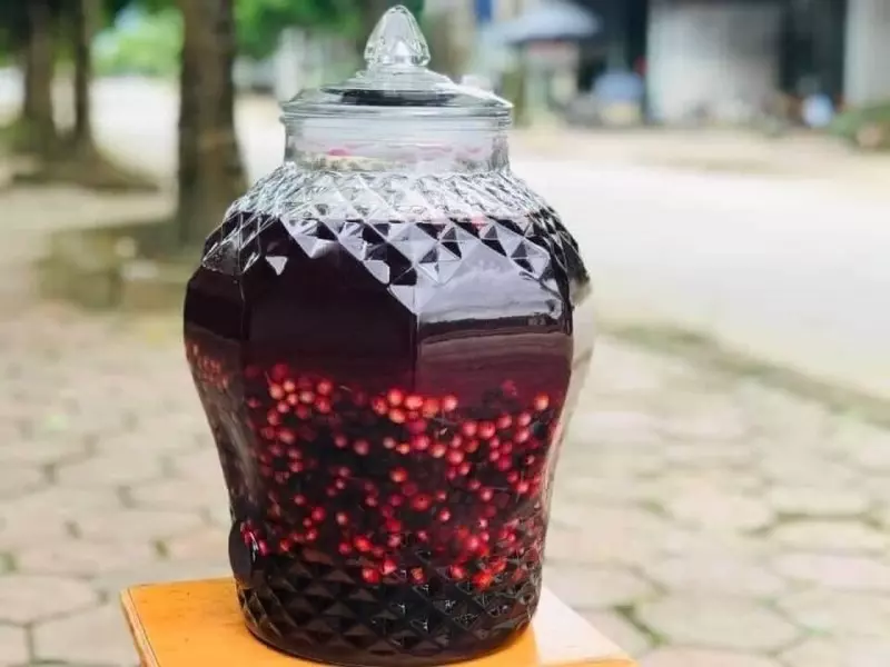 Ủ rượu từ 1 tháng trở lên là bạn đã có một bình rượu nho