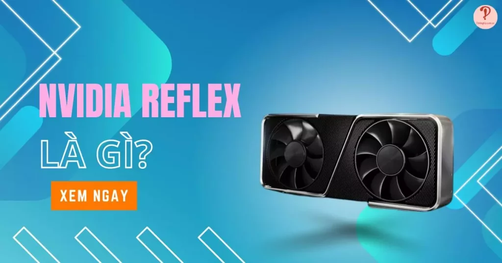 reflex là gì