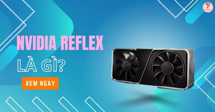reflex là gì