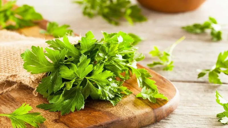 Rau mùi tây chứa rất nhiều dinh dưỡng, tốt cho sức khỏe