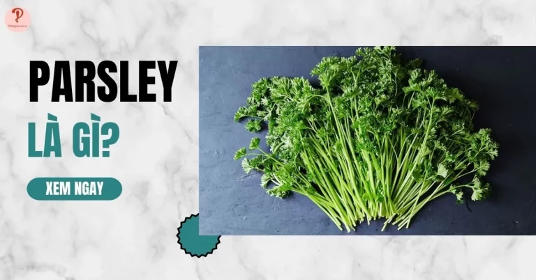 parsley là gì