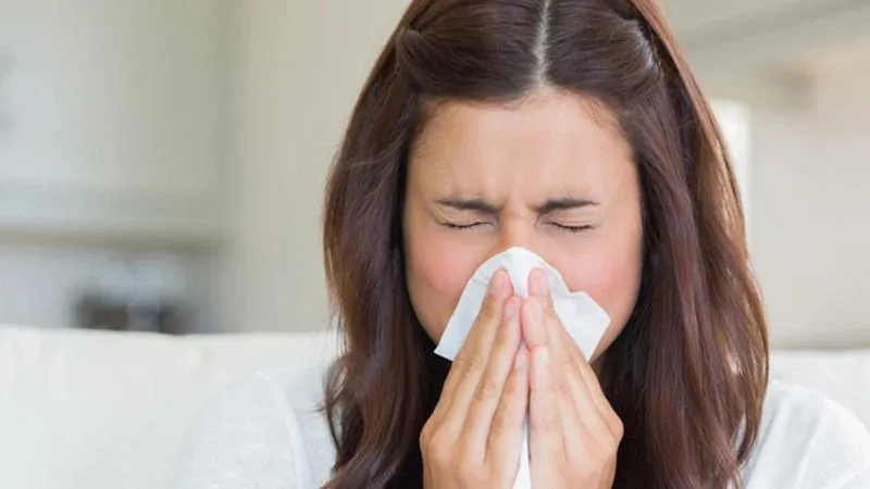 Rau kinh giới có chứa nhiều tinh dầu giúp điều trị cảm cúm hiệu quả