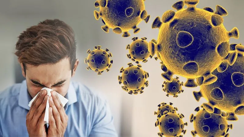Rau kinh giới giúp bất hoạt norovirus - virus gây tiêu chảy, buồn nôn và đau dạ dày