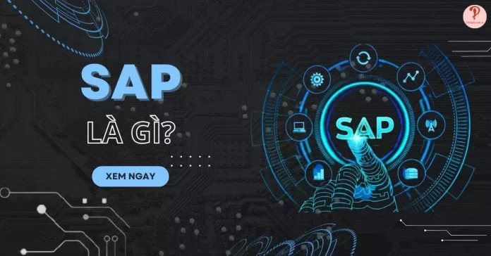 sap là gì