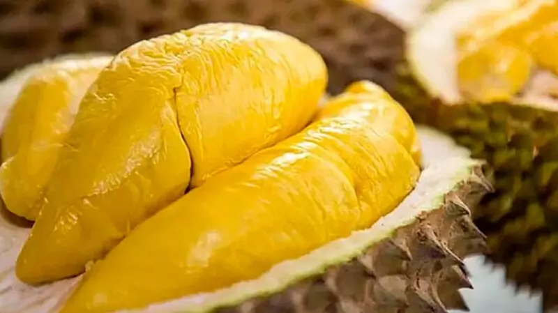 Hãy lựa những trái có vỏ xanh, gai lớn, trái tròn đều