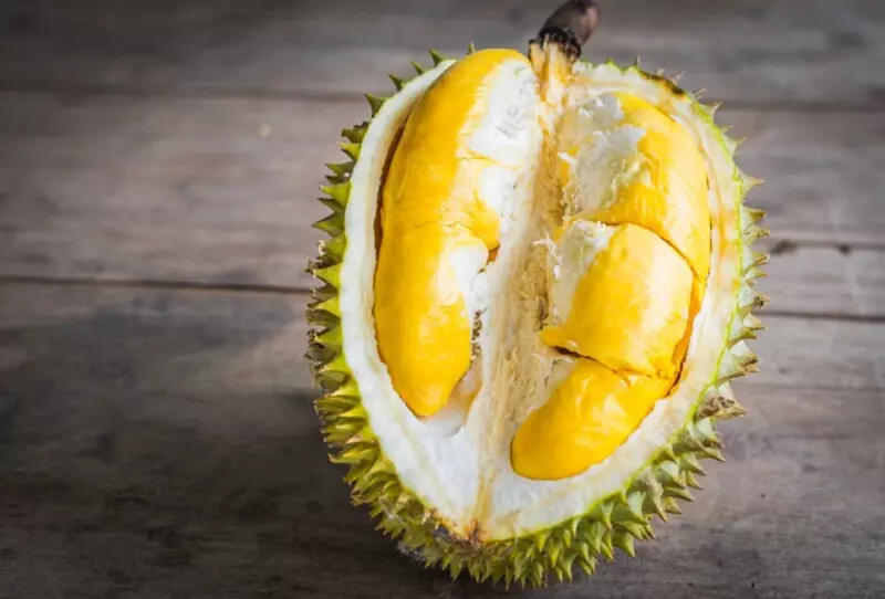 Phân biệt sầu riêng chuồng bò và Ri6