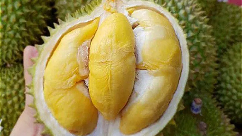 Bạn có thể dễ dàng tìm mua sầu riêng ri6 tại các cửa hàng chuyên bán trái cây