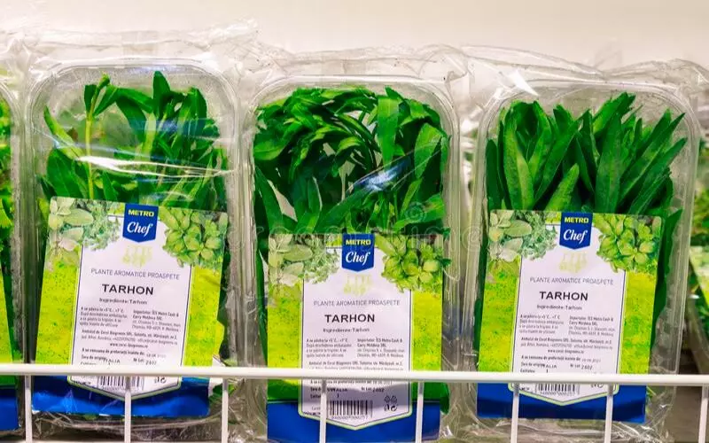 Lá Tarragon mua ở đâu?