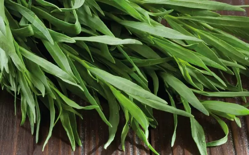 Giúp giảm lượng đường trong máu