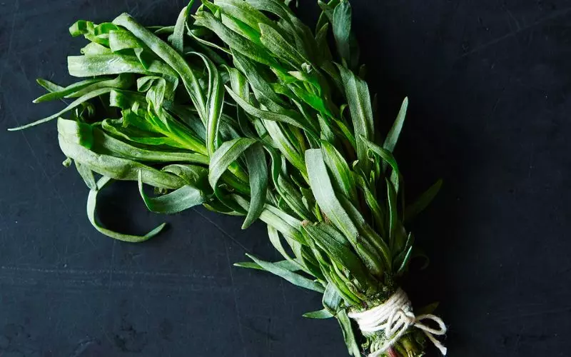 Có đặc tính kháng khuẩn