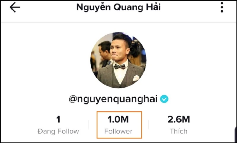 Follower trên TikTok nghĩa là người theo dõi tài khoản