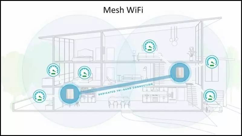 Mesh Network