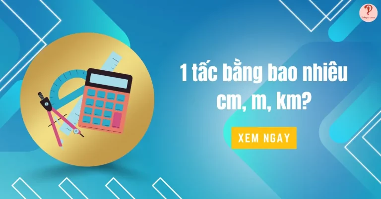 1 tấc bằng bao nhiêu cm, m, km, thước, phân, li? | Đơn vị tấc