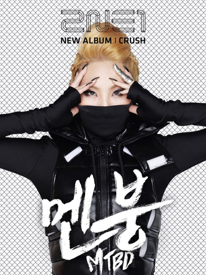 2NE1 profile tiếng Việt | Thông tin, tiểu sử, các thành viên 2NE1 ...