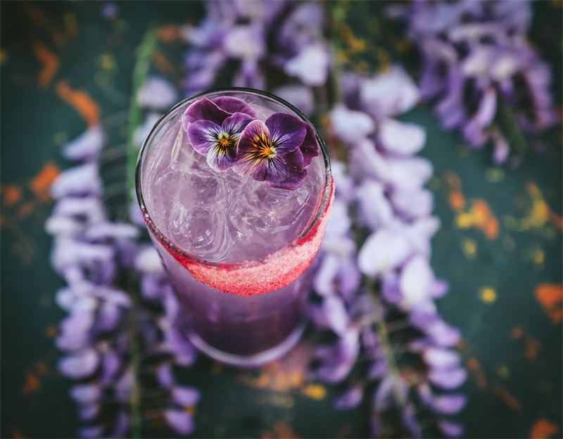 Công dụng hoa Tử Đằng có thể dùng làm cocktail từ mật hoa
