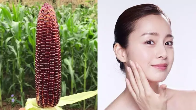Bắp nữ hoàng đỏ chứa nhiều vitamin C và E, là những chất chống oxi hóa mạnh mẽ